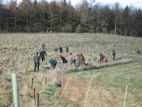 Tree planting 13th March 2011_046_1.JPG